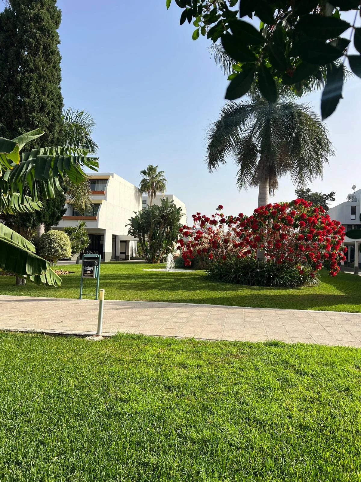DNT Renovación – renovation project in Tenerife (210)