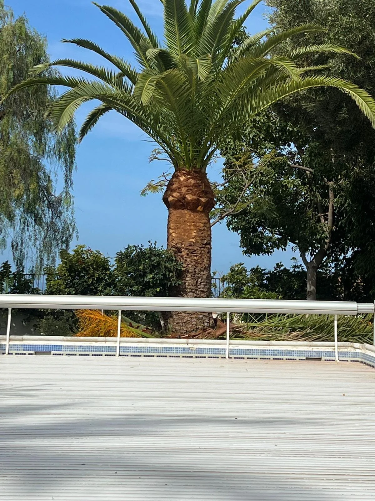 DNT Renovación – renovation project in Tenerife (215)